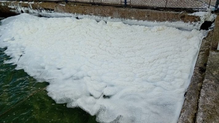 Fenomen rar pe litoral:  Lacul Siutghiol acoperit de spumă albă la mal! Vezi de ce!  Video
