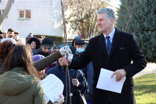 Primăria Năvodari reîncepe campania  „Un POM pentru fiecare OM, un pom pentru fiecare casă”