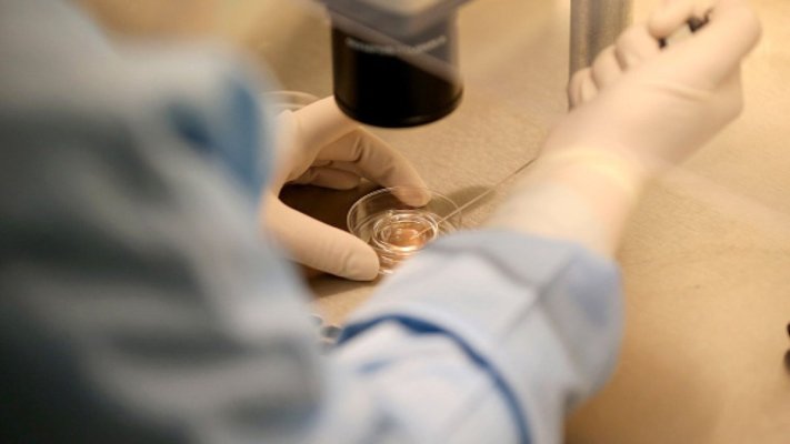 Studiu: Bărbații cu spermă de calitate superioară trăiesc mai mult