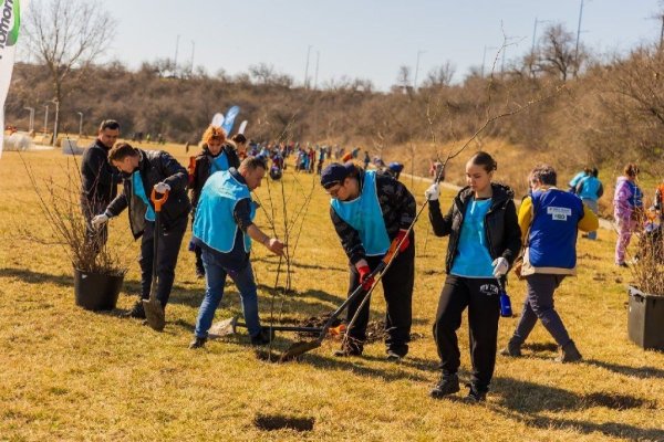 Peste 7.000 de arbori și arbuști au fost plantați pe o suprafață de 7.500 mp, la Năvodari
