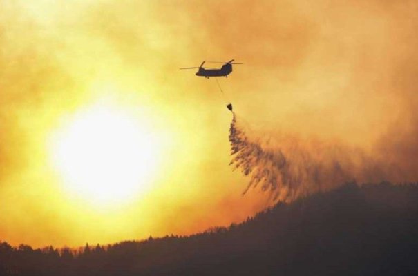 Japonia: Ploaia încetinește propagarea celui mai grav incendiu forestier din ultimii 50 de ani