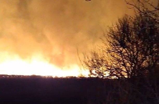 Val de incendii de vegetație uscată, în urma caniculei, în județul Constanța