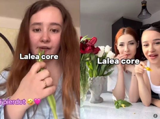 Tinere care se filmează în timp ce mănâncă lalele, un nou trend bizar pe TikTok. Cât de nocive sunt. Video