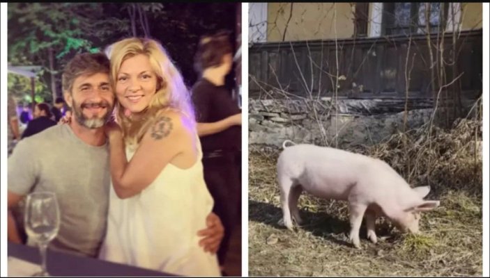 Dragoș Bucur a pus-o pe purcica Betty a Danei Nălbaru la muncă în curte