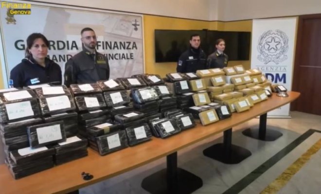 Captură record: 240 de kg de cocaină ascunse printre conservele de ton într-un container