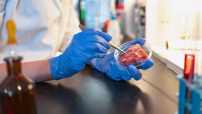 Carnea cultivată în laborator, piureul din micro-alge și pâinea din ciuperci medicinale vor ajunge în farfuriile românilor