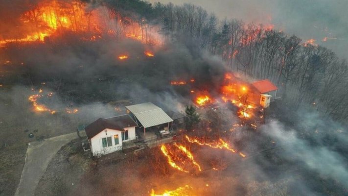 Poliţia suspectează un bărbat că ar fi provocat cele mai grave incendii de vegetaţie din istoria Coreei de Sud