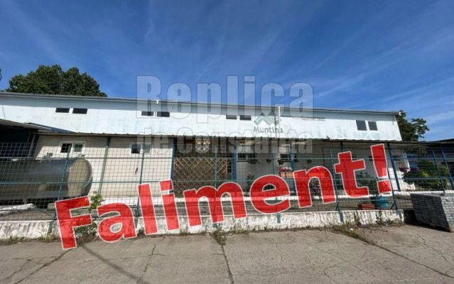 Un lichidator judiciar vinde de 10 ani bunurile fabricii de lapte Muntina Prod