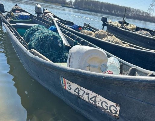 Garda Naţională de Mediu face ravagii: Autoritățile dau amenzi record și scot de pe piață tone de pește
