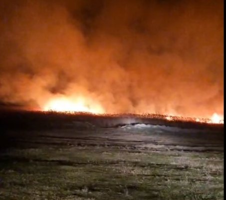 Două incendii de vegetație, în Tulcea, pe o suprafață de 10 hectare! Video