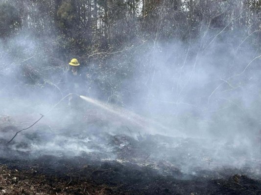 În Carolina de Sud a fost declarată stare de urgență. Se confruntă cu noi incendii puternice și greu de controlat  