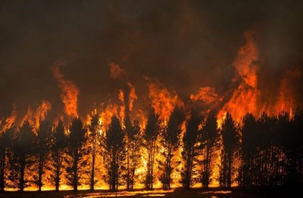 Doi morți și doi răniți în incendiile puse intenționat