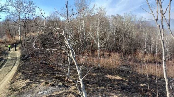 Incendiu de vegetație, în Valea Dacilor! Video