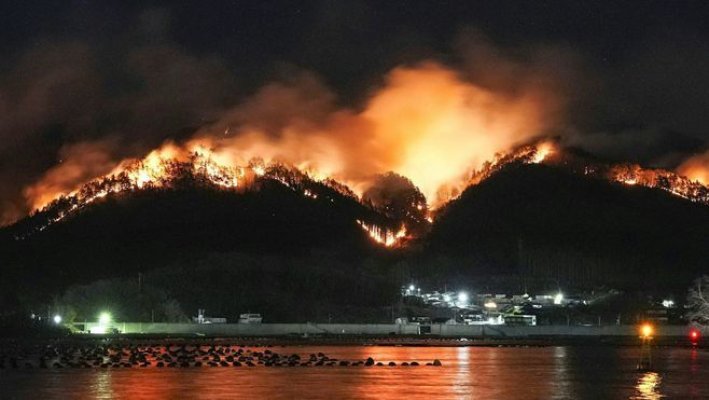 Japonia/Cel mai grav incendiu de pădure din ultimii 50 de ani a fost adus sub control