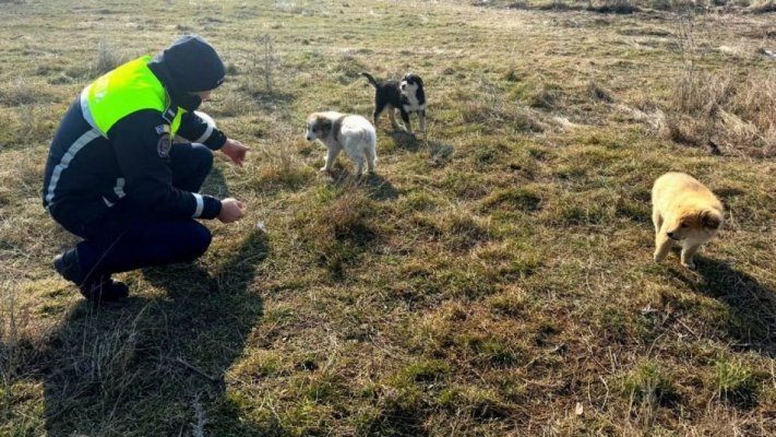 Resturile dronei descoperite vineri lângă Galați, care conținea explozibil, au fost detonate controlat