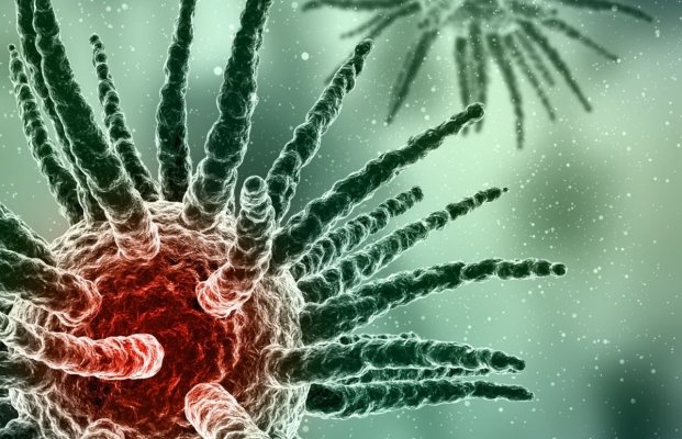 Infecția letală care lovește după COVID-19: Ce este „ciuperca neagră“ care devorează carnea și vasele de sânge?