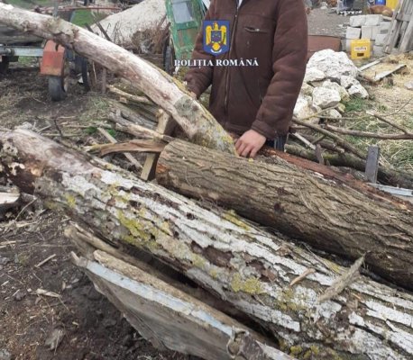 Un bărbat s-a ales cu dosar penal pentru tăiere ilegală e arbori