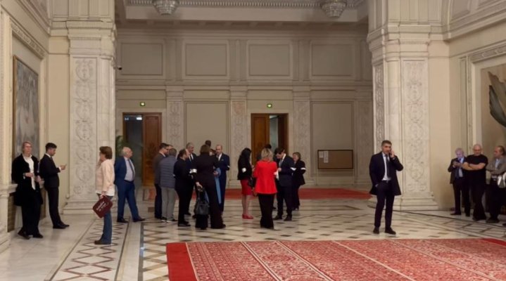 Circ în Parlament. Oamenii lui Simion și Gavrilă spun că au intrat în grevă, dar au semnat condica să își primească banii