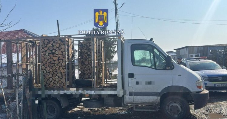 Razii în Techirghiol la vânzătorii de lemne 