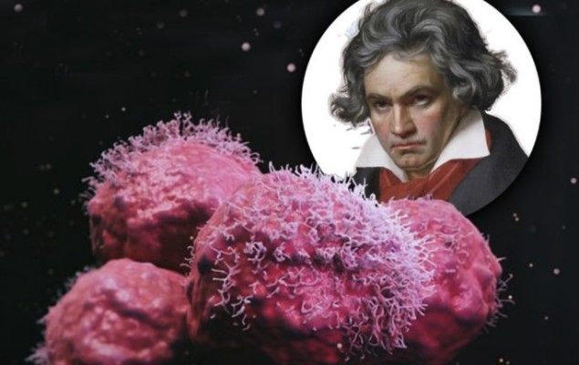 Noi cercetări: Simfonia a V-a a lui Beethoven are capacitatea de a lupta împotriva cancerului