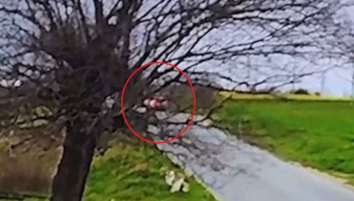 Cum s-a produs accidentul mortal dintre Lumina și Năvodari! Tragedia, surprinsă de camerele de supraveghere! Video