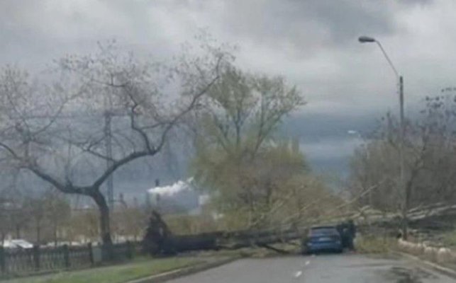 Copac căzut peste o mașină, pe un bulevard intens circulat. Șoferul este rănit