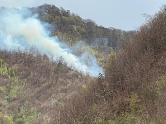 Incendiu devastator în Argeș! Ard hectare întregi de pădure