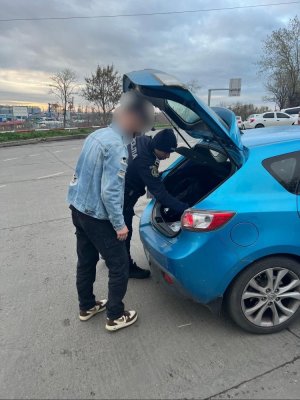 Razii în Portul Constanța pentru prevenirea accidentelor rutiere! 