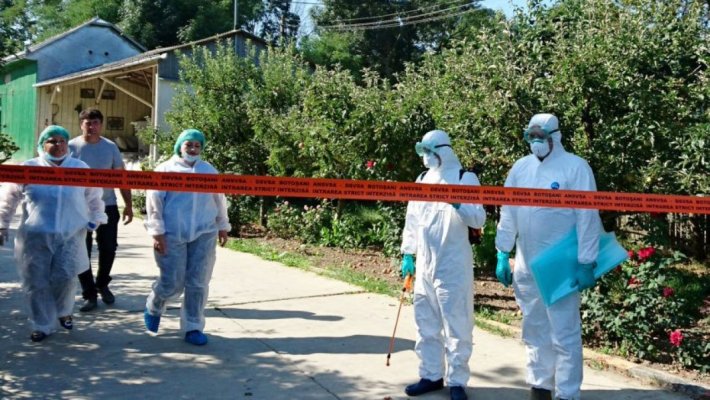 Derogări pentru intrarea pe teritoriul României a animalelor de companie din Israel