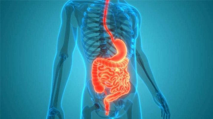 Descoperire alarmantă: Toxina care ar putea explica creșterea cazurilor de cancer intestinal la persoanele tinere