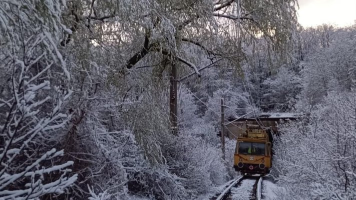 Mersul trenurilor a fost întrerupt în mai multe zone, din cauza copacilor căzuți și a viscolului