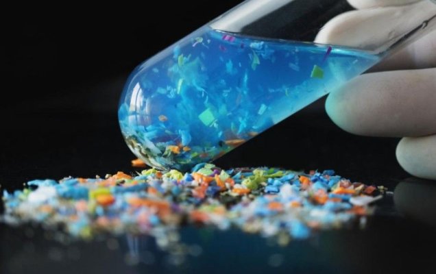 Mâzga de pe microplastice ajută la înmulțirea și răspândirea de superbacterii rezistente la antibiotice
