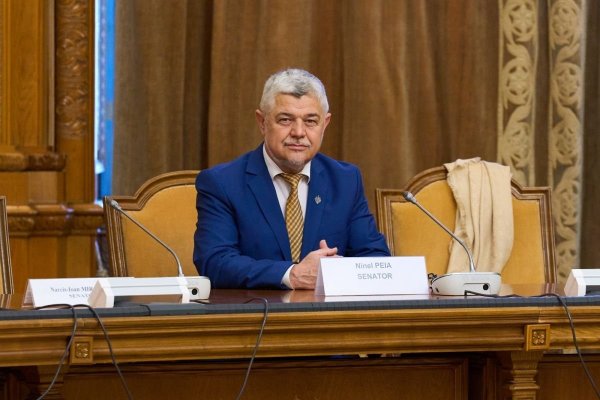 Parlamentarii vor fi trimiși pe front, să lupte la război - Ninel Peia a depus un proiect de lege la Senat