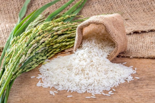 Criza orezului: Alimentul de bază al japonezilor atinge prețuri record