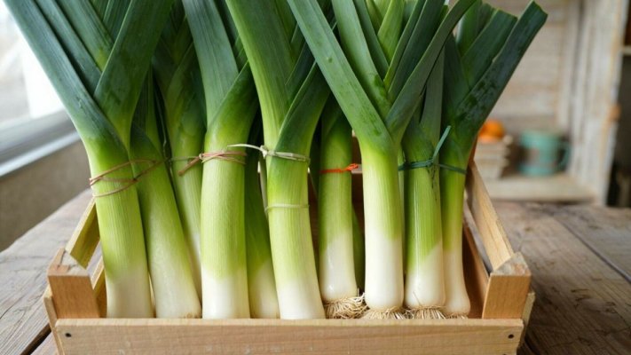 Praz - leguma minune pentru sănătate și imunitate. Beneficii, proprietăți și sfaturi pentru preparate delicioase