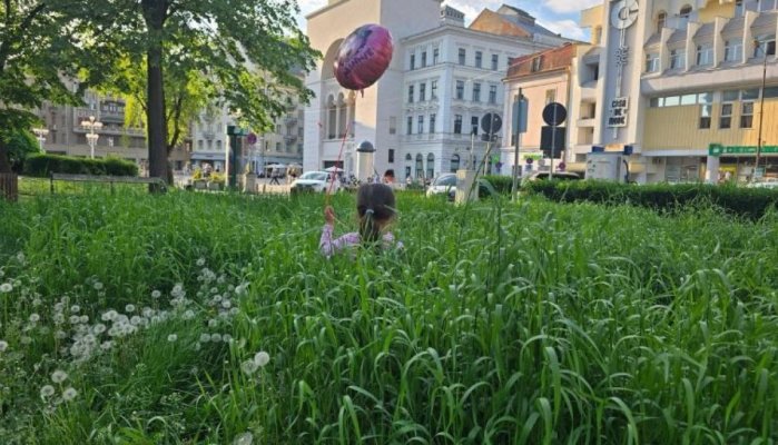 Timișoara, focar de șerpi, șobolani și căpușe. E biodiversitate!