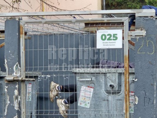 Sărăcia face ravagii. Curățatul tomberoanelor de sticle reciclabile a devenit sport national