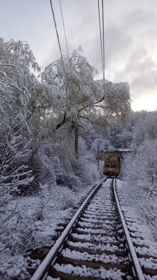 Iarna nu se dă dusă: trenurile, ținute pe loc de copaci căzuți pe șine în zonele Iași și Brașov