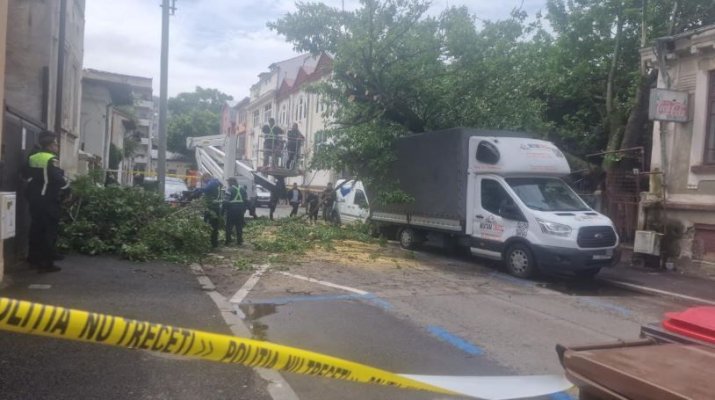 Haos în centrul Bucureștiului: Un copac a căzut pe o stradă din Sectorul 1. Patru mașini și o conductă de gaze, avariate