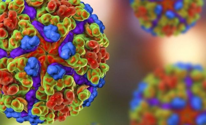 Boala chikungunya și febra denga se răspândesc cu viteză în Europa