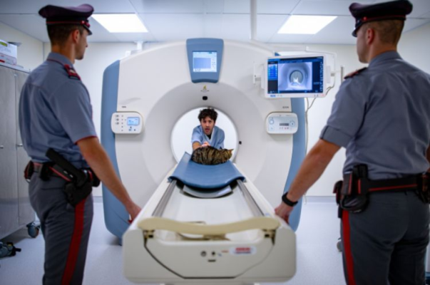 Patru persoane sunt anchetate după ce au făcut tomografie unei pisici în spital