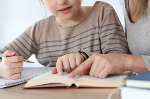Elevii din România ar putea învăța acasă iar studiile vor fi recunoscute oficial. Ce spune Ministrul Educaţiei