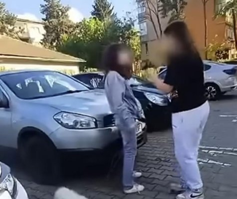 Scenă cutremurătoare în Alba Iulia: o tânără lovește fără milă o adolescentă care își plimba câinele