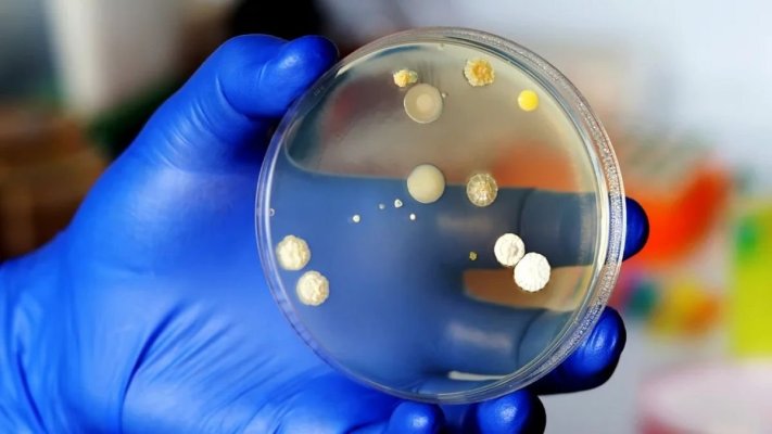 Alertă în lumea medicală din cauza unei ciuperci: Te roade „din interior“ și ar putea să se răspândească