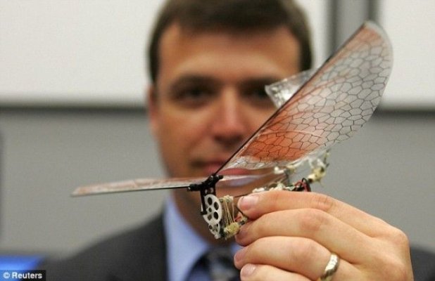 Drone-insecte ar putea fi folosite de Rusia și China la comiterea asasinatelor