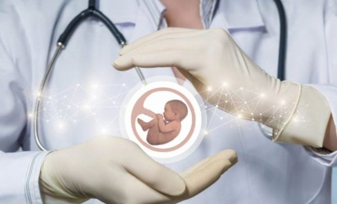 Protest la Guvern: S-au tăiat banii pentru fertilizări in vitro