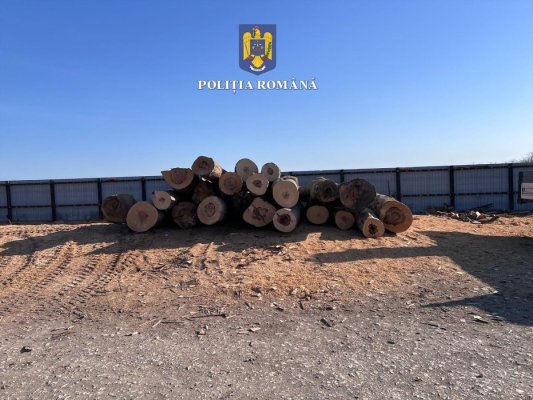 Lemne, fără acte, confiscate de polițiștii constănțeni
