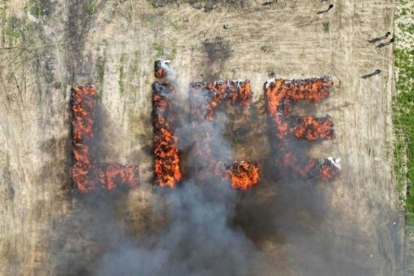 Poliția din Turcia arde tone de canabis în centrul unui oraș, provocând halucinații în masă 