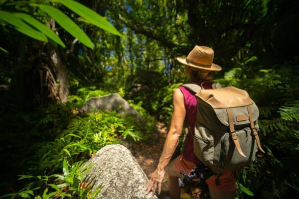Semnal de alarmă! Schimbările climatice favorizează extinderea unor boli tropicale în Europa