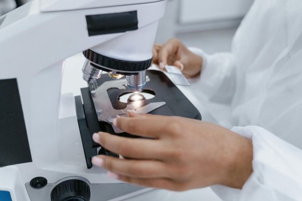 Un „supermicrob“ fungic face ravagii la nivel global. OMS trage un semnal de alarmă